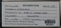 Image Associated With the Occurence
